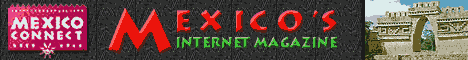 Mexico Connect